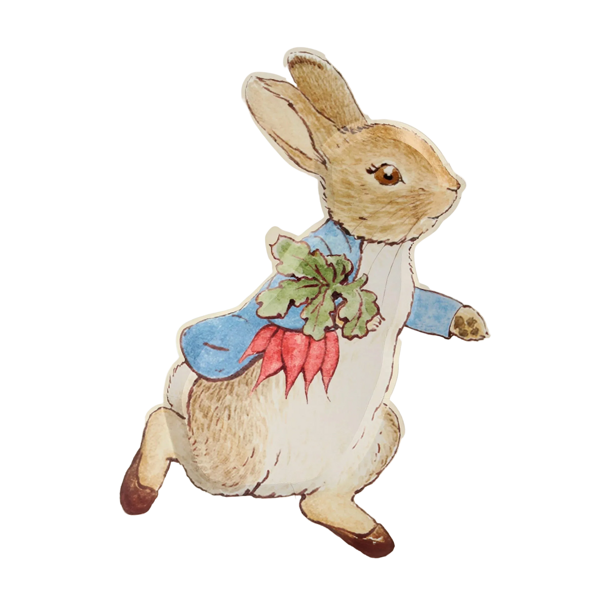 Peter Rabbit™ Platos (x 12)